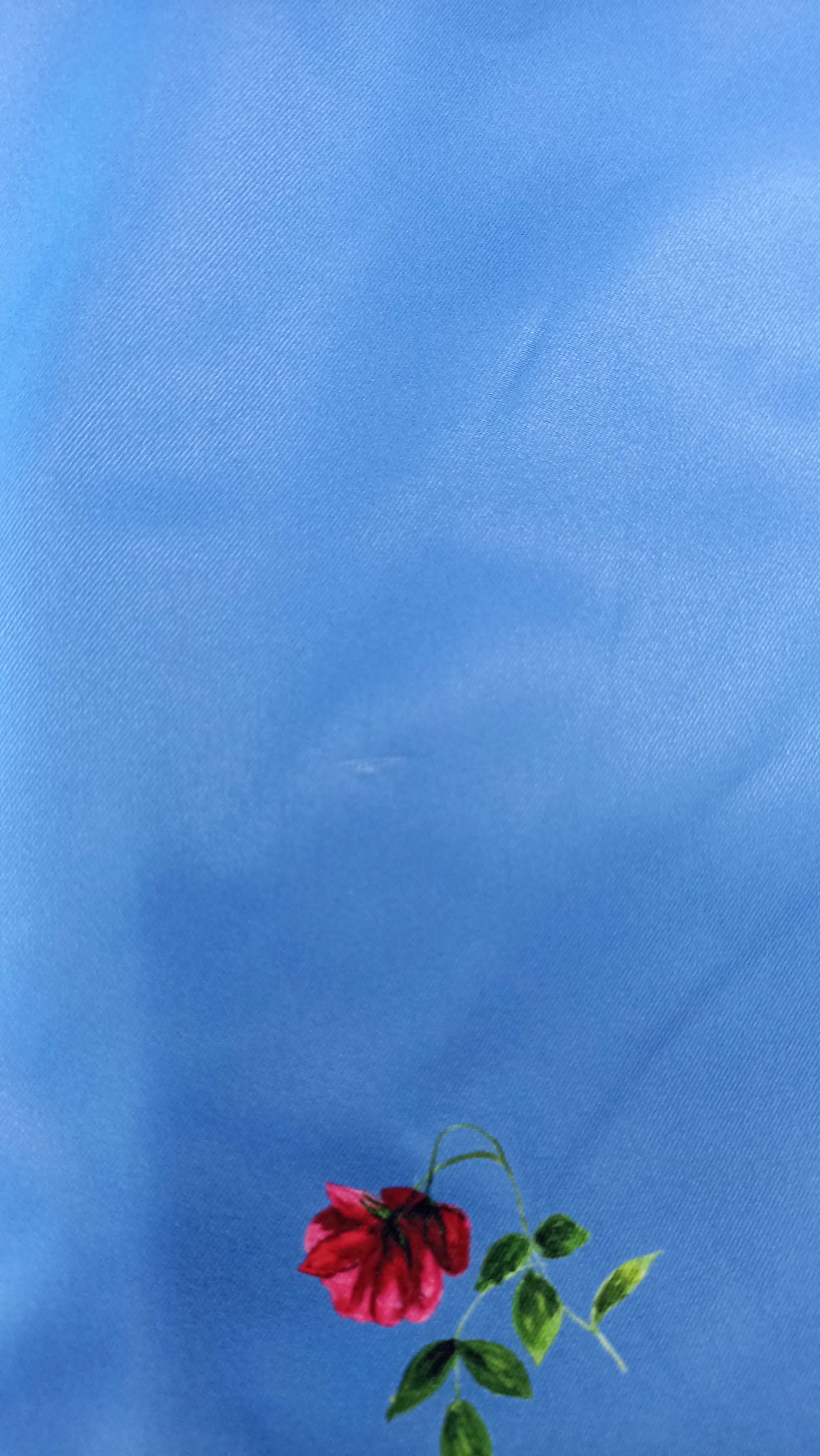 'Forget-Me-Not' coat in size S tall (with imperfection)